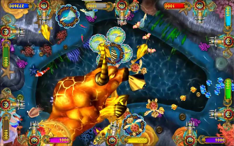 Cách Nhận Diện Đúng Loại Cá Trong Game Bắn Cá Để Dễ Ăn Xu 4 Cạm bẫy thường gặp khi phân biệt cá